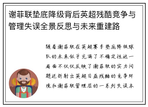 谢菲联垫底降级背后英超残酷竞争与管理失误全景反思与未来重建路 谢菲联垫底降级背后英超残酷竞争与管理失误全景反思与未来重建路
