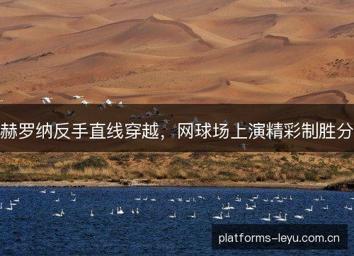 赫罗纳反手直线穿越，网球场上演精彩制胜分
