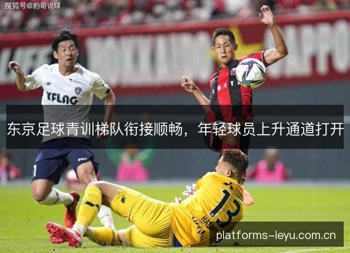 东京足球青训梯队衔接顺畅，年轻球员上升通道打开